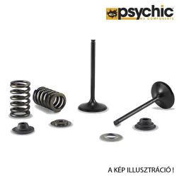  PSYCHIC USA PSYCHIC RACING USA Kawasaki kipufog szelep szett 2022